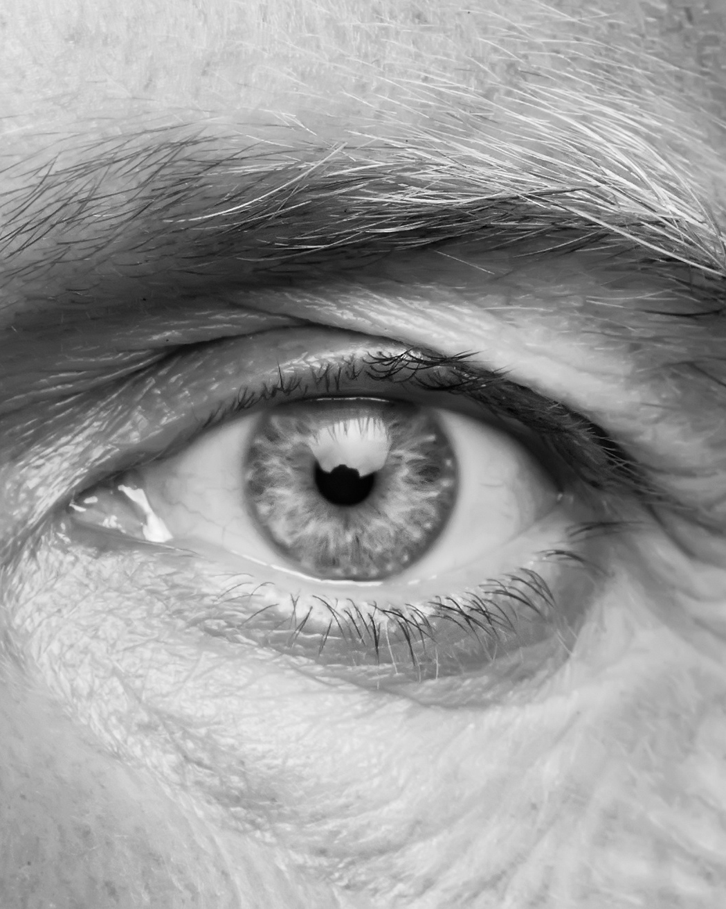 Et nærbilde av et øye