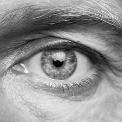 Et nærbilde av et øye