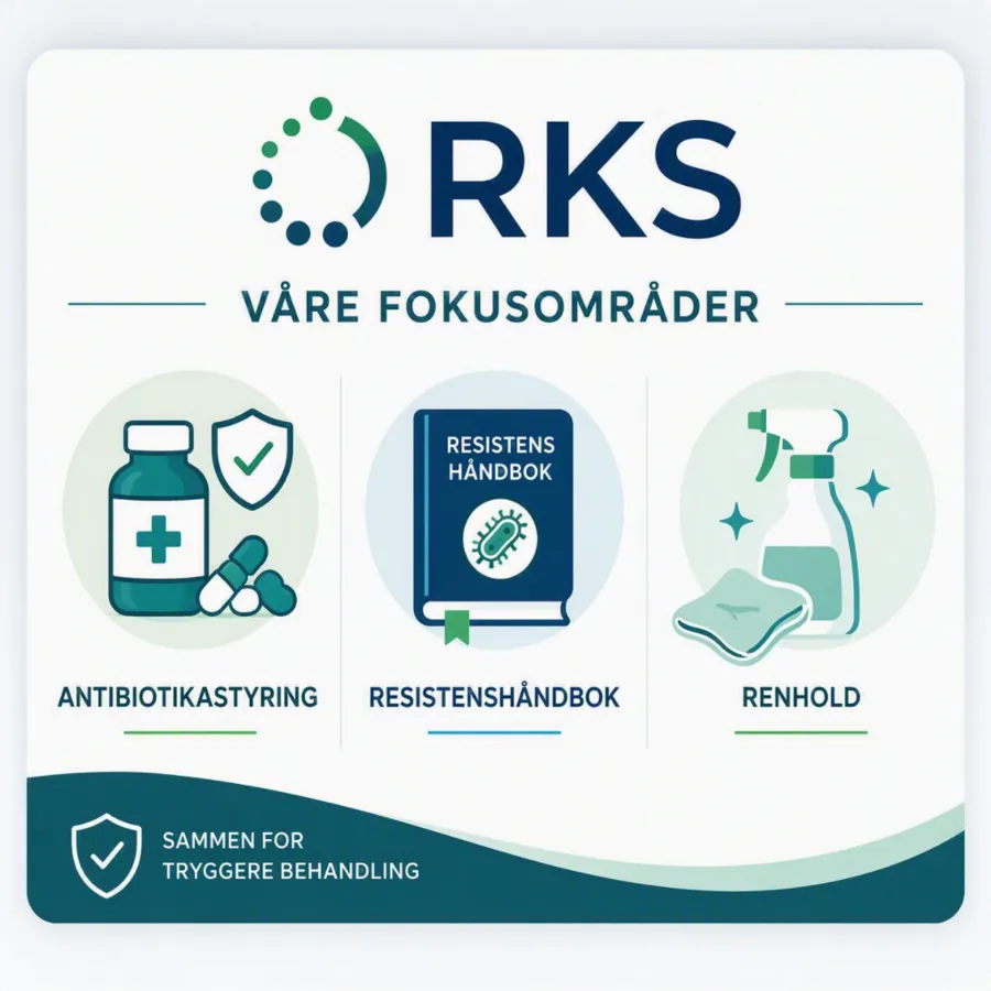 Grafisk brukergrensesnitt, applikasjon