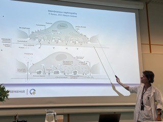 En mann som peker på en skjerm