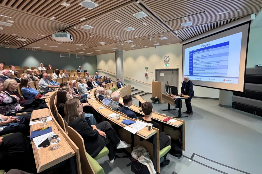 En person som holder en presentasjon for en gruppe mennesker