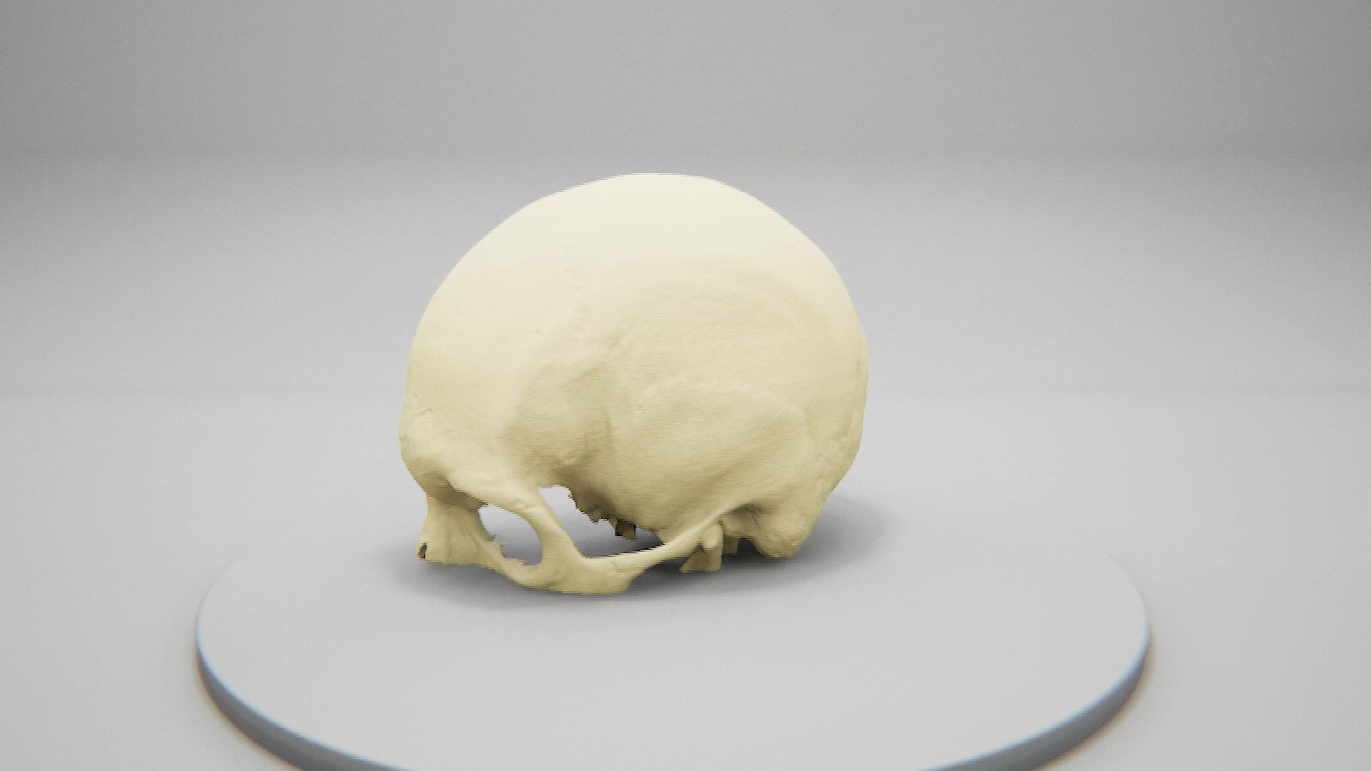 En hvit hjerne på en hvit overflate