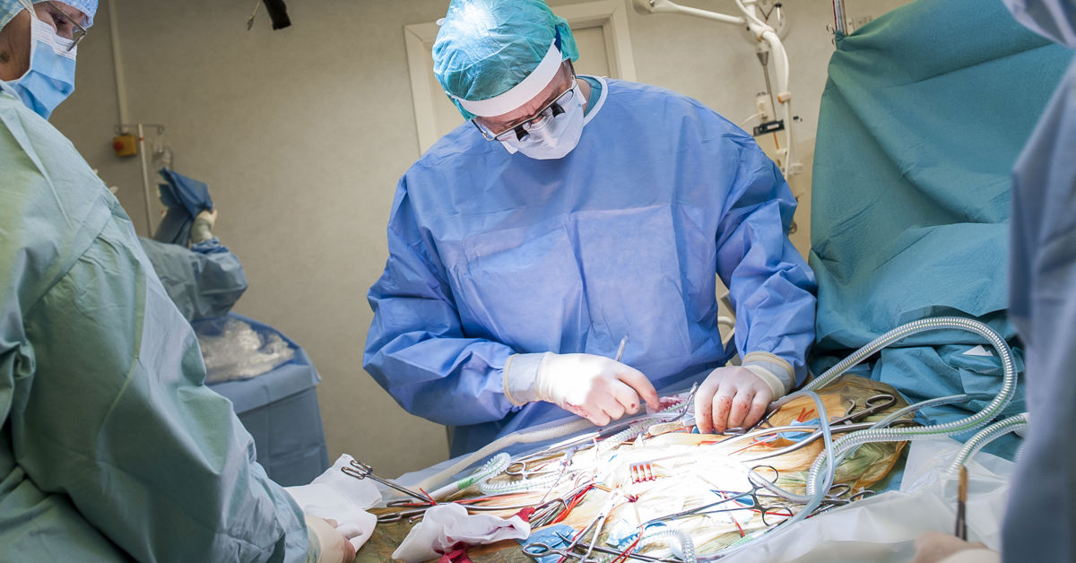 Top Europe POTS Clinics and Specialists | Where to Find Expert Care 11