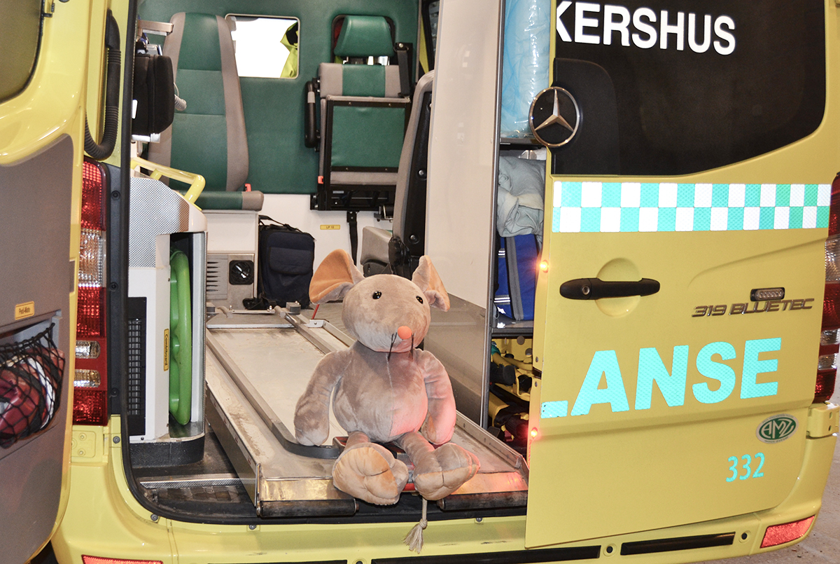 Et kosedyr i en lekebil