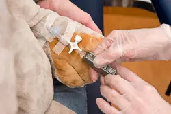 Rasmus skal til undersøkelse på Nukleærmedisin