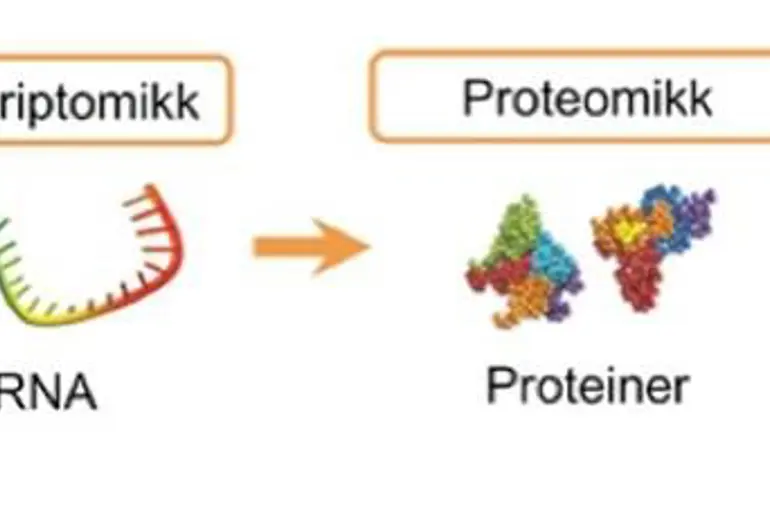 Metabolomikk.jpg