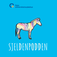 Sjeldenpodden logo, zebra med fargerike striper