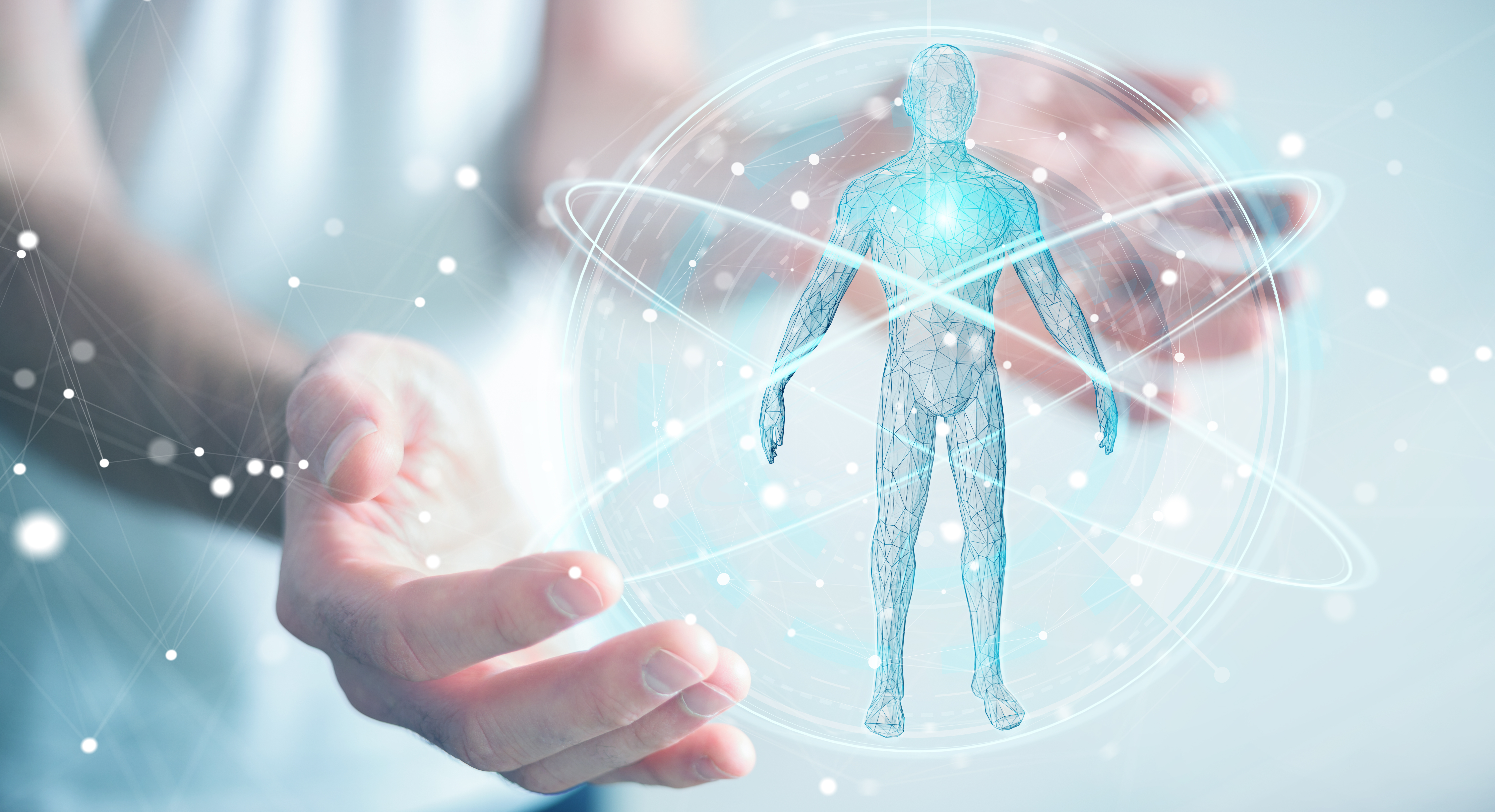 Blå himmel og plante