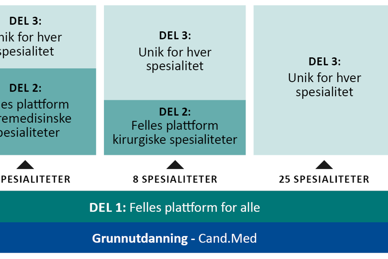 Illustrasjon som viser oppbyggingen av spesialistutdanningen
