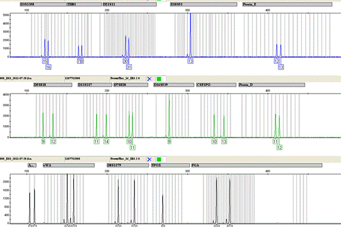 dna-analyse-fig1-faktaark.gif