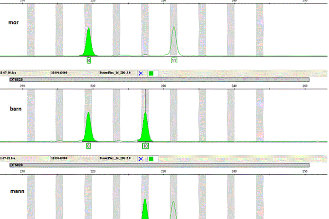 dna-analyse-figur-2-faktaar.gif