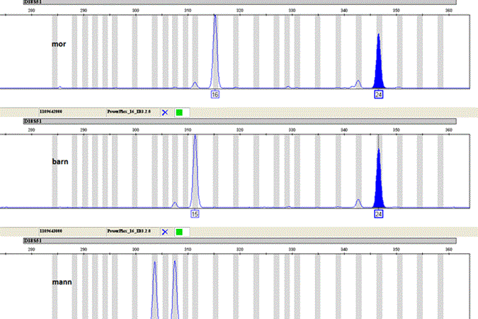 dna-analyse-figur-3-faktaar.gif