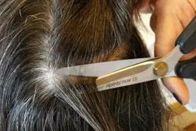 Figur 2 prøvetaking