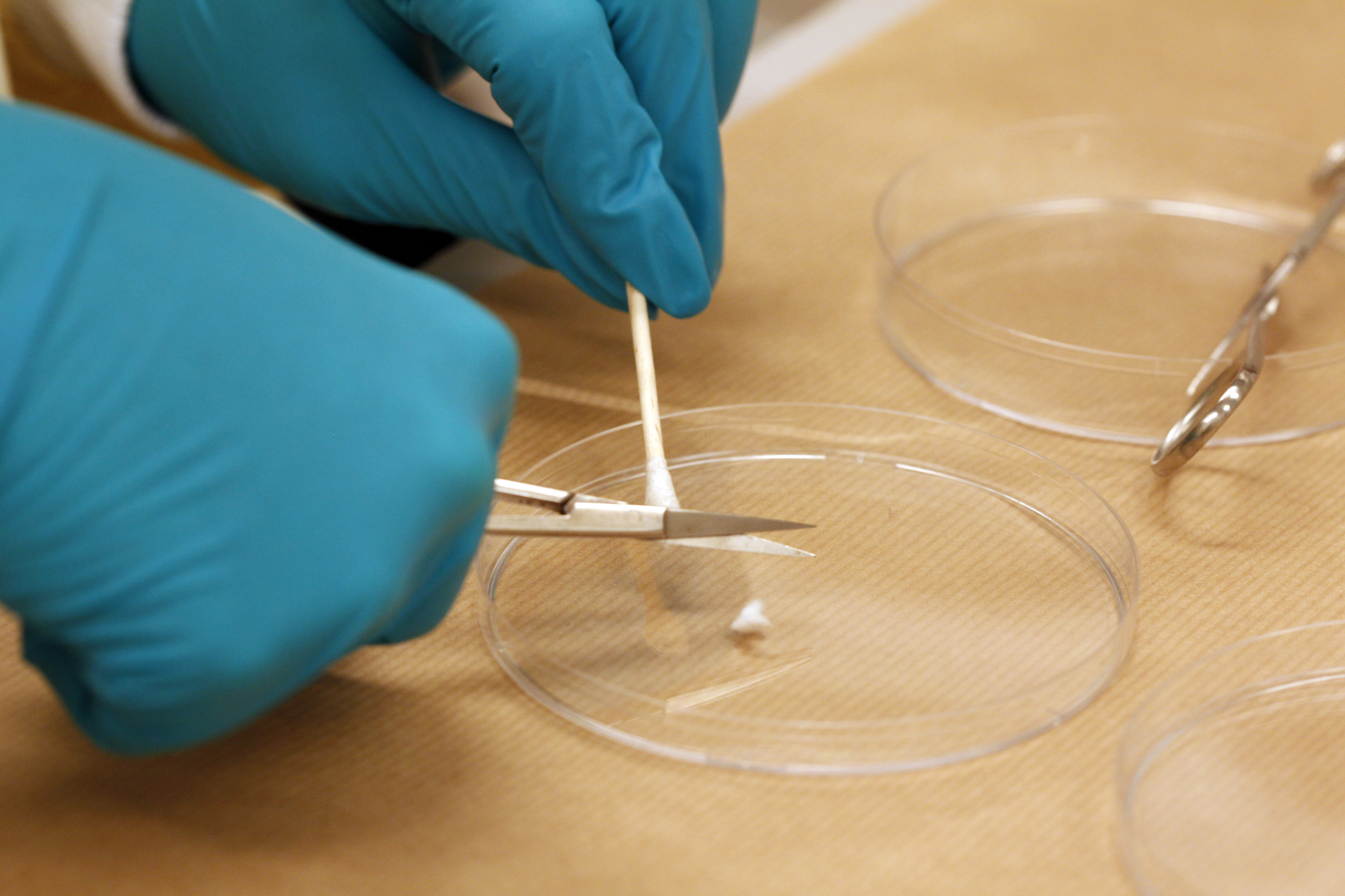 Bilde av person som utfører laboratorietest