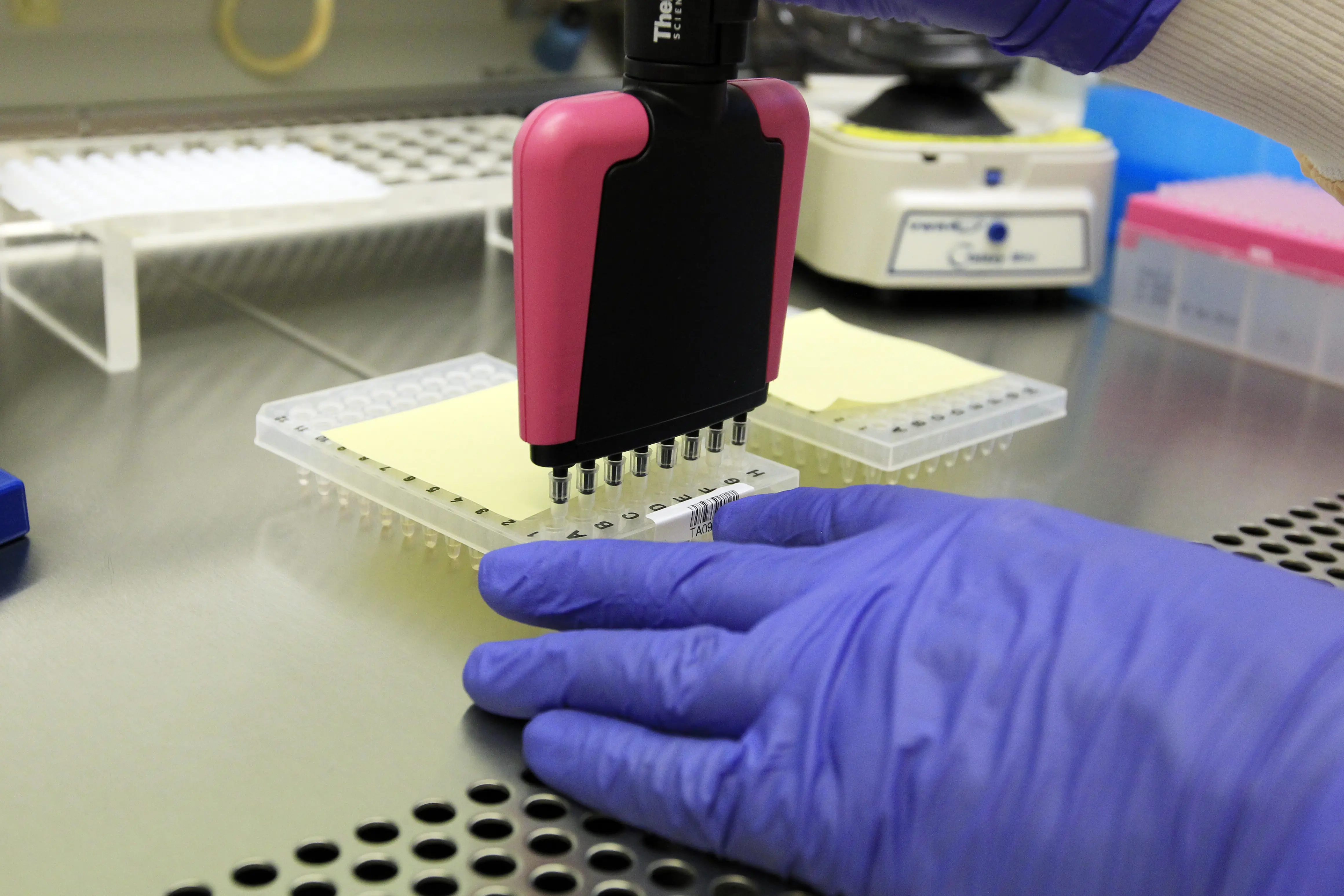 Bilde av laboratoriet