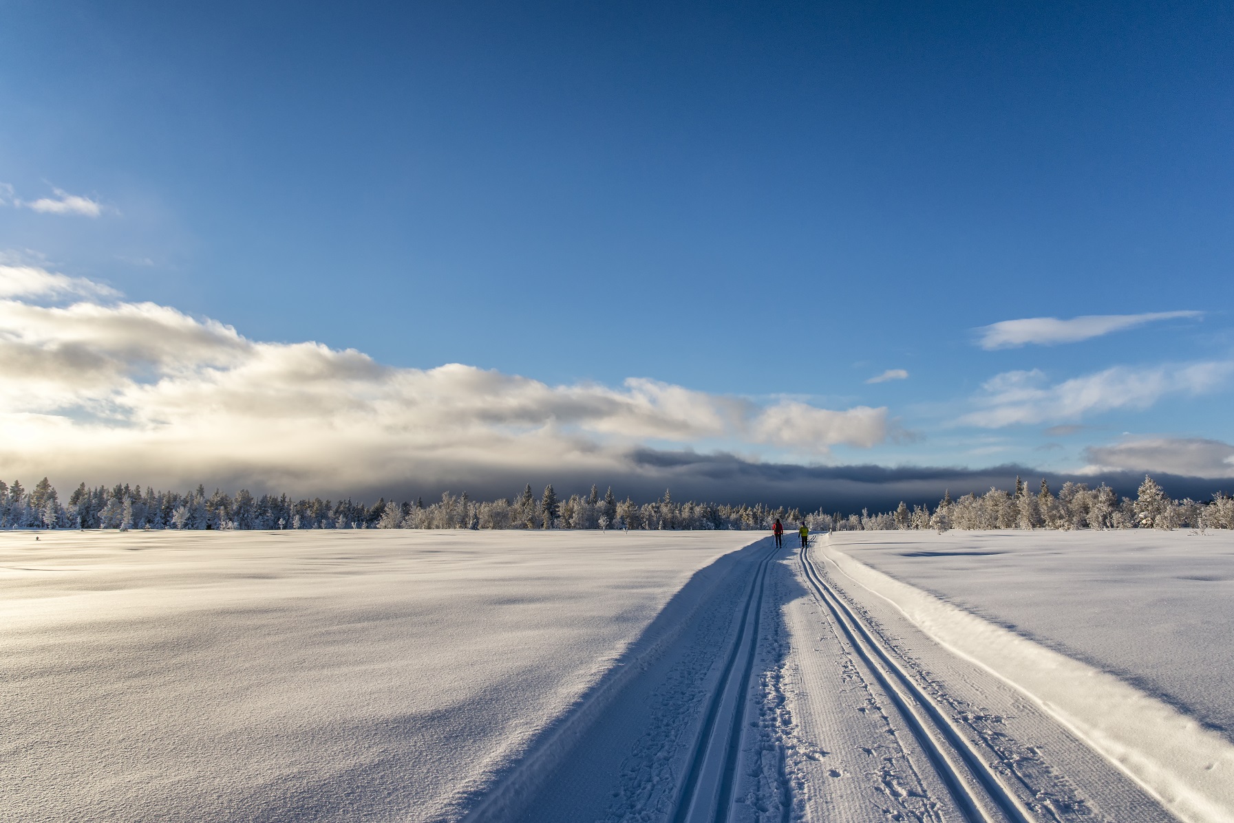 Skiløpere i skispor