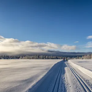 Skiløpere i skispor