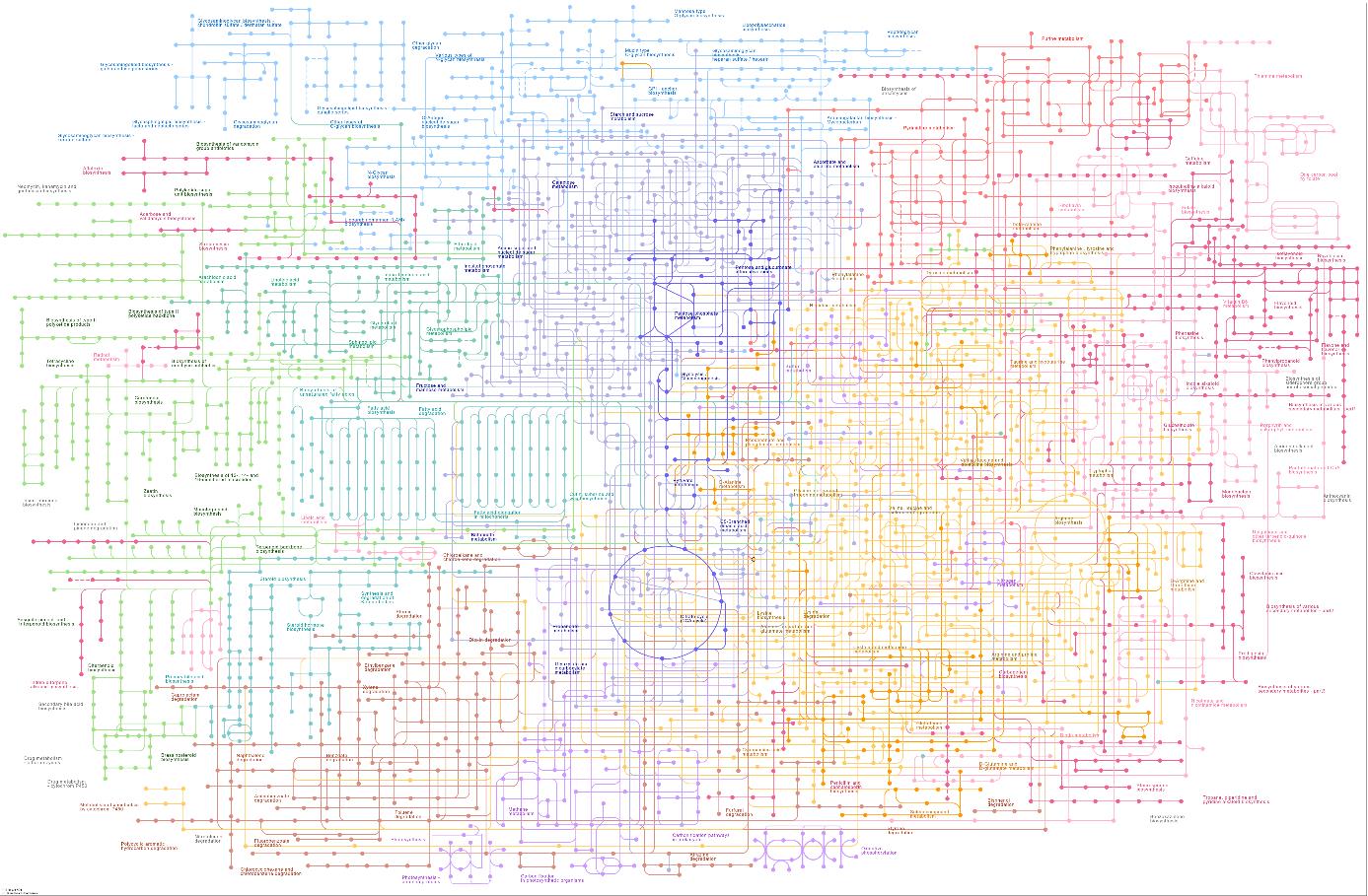 Figur av biokjemiske reaksjoner