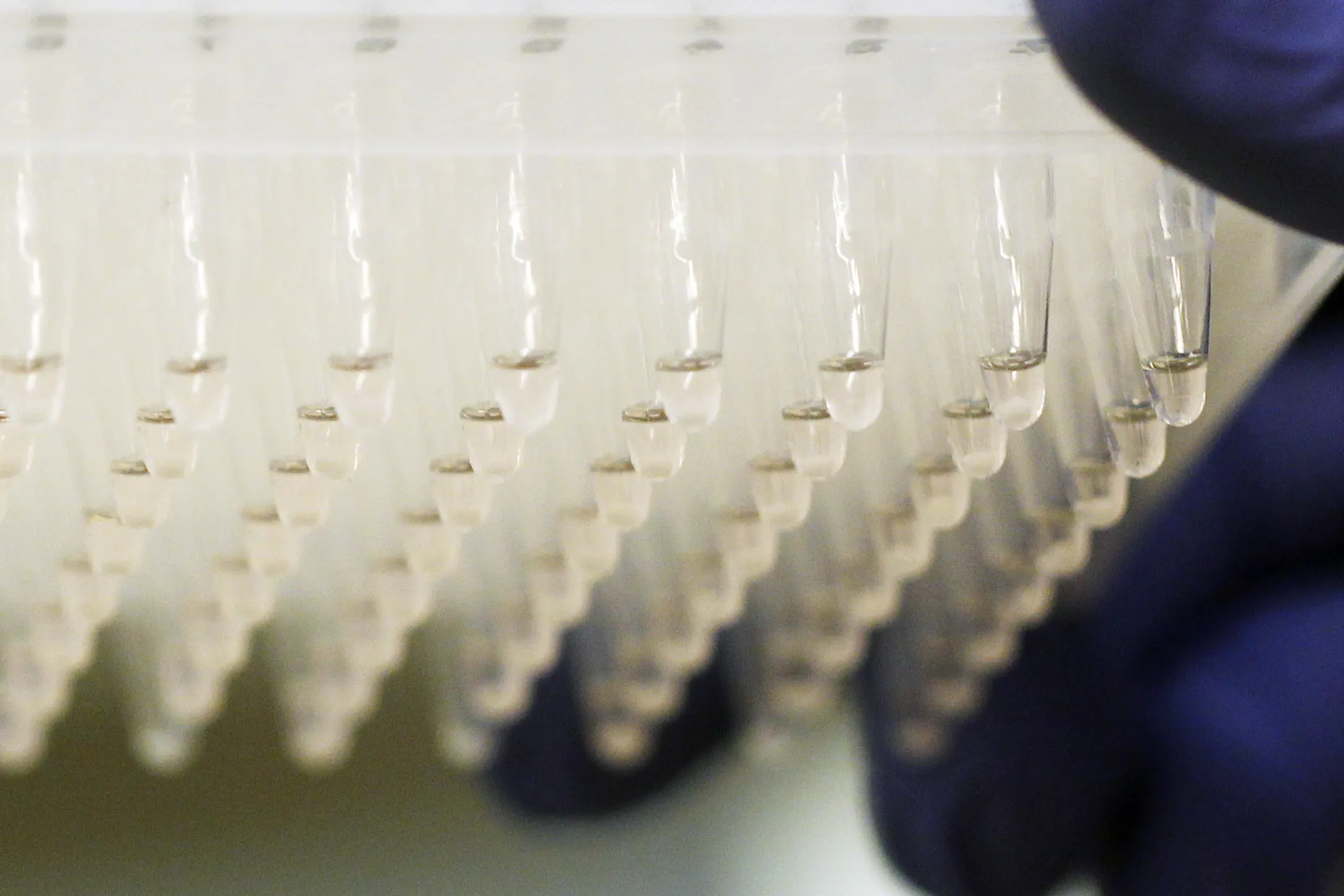 Bilde av laboratorieutstyr