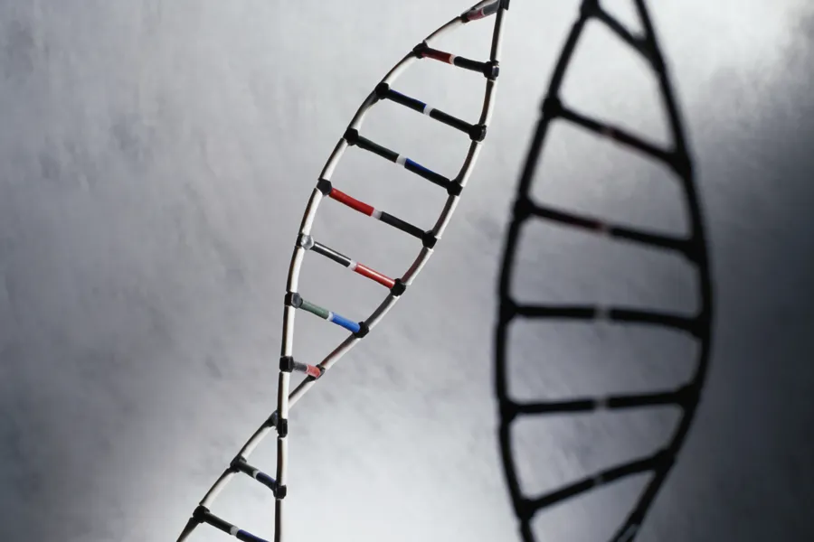 bilde av en DNA kjede