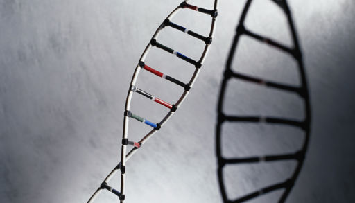 bilde av en DNA kjede