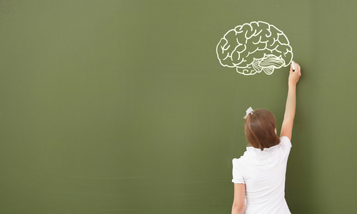 En kvinne som tegner et tre på en grønn tavle