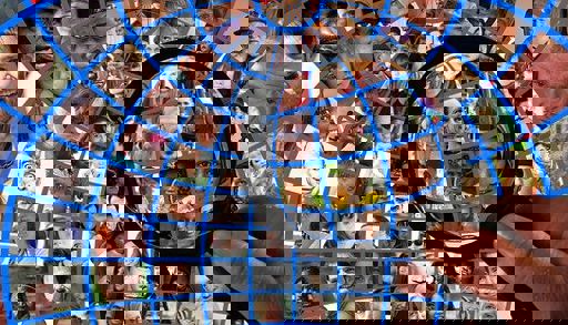 En collage av en manns ansikt