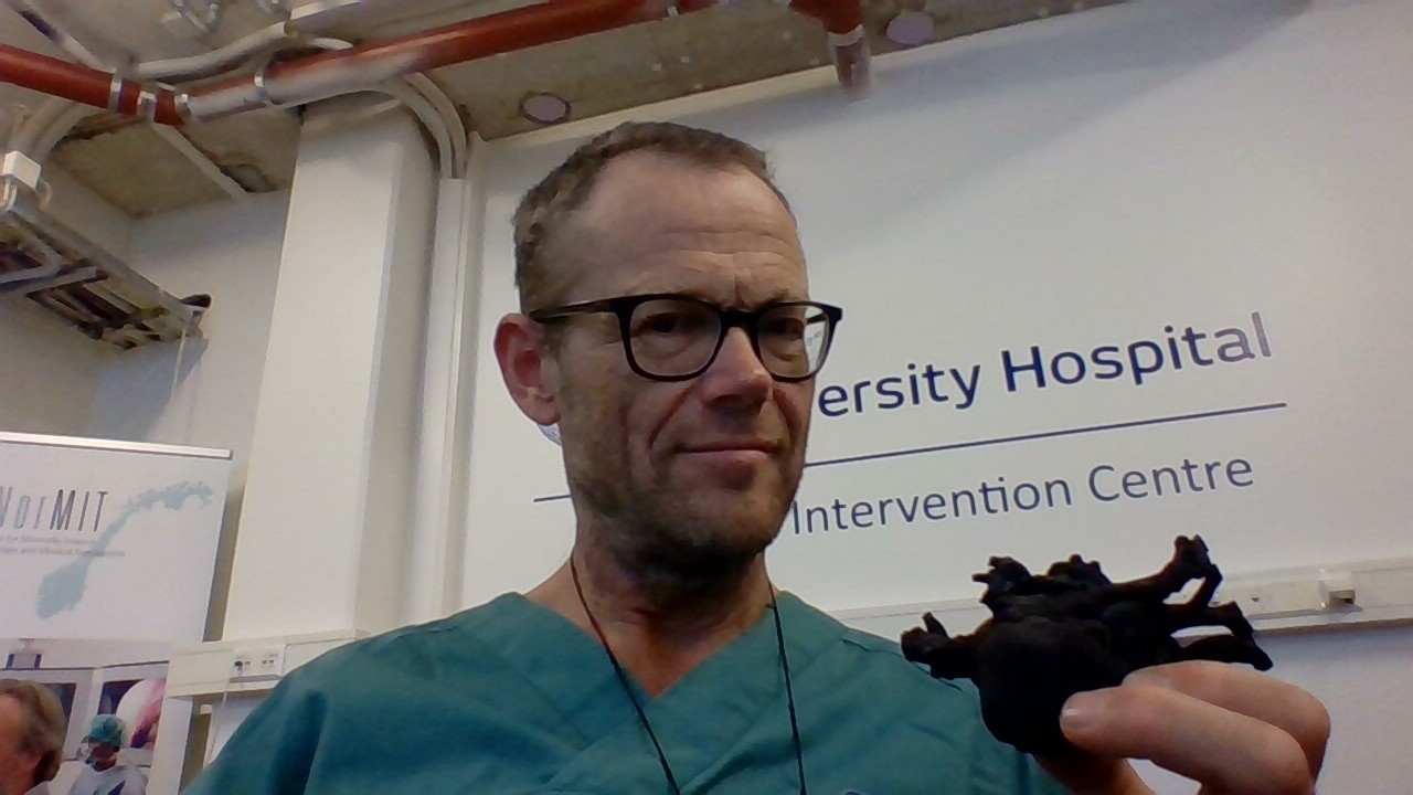 Bilde av Henrik Brun og 