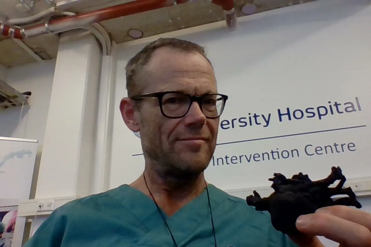 Bilde av Henrik Brun og