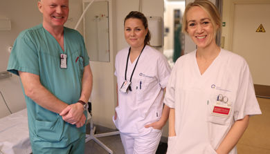 Jon Henrik Laake, Kristina Struksnes Fjone og Kristin Hofsø.