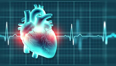 heart and rythym