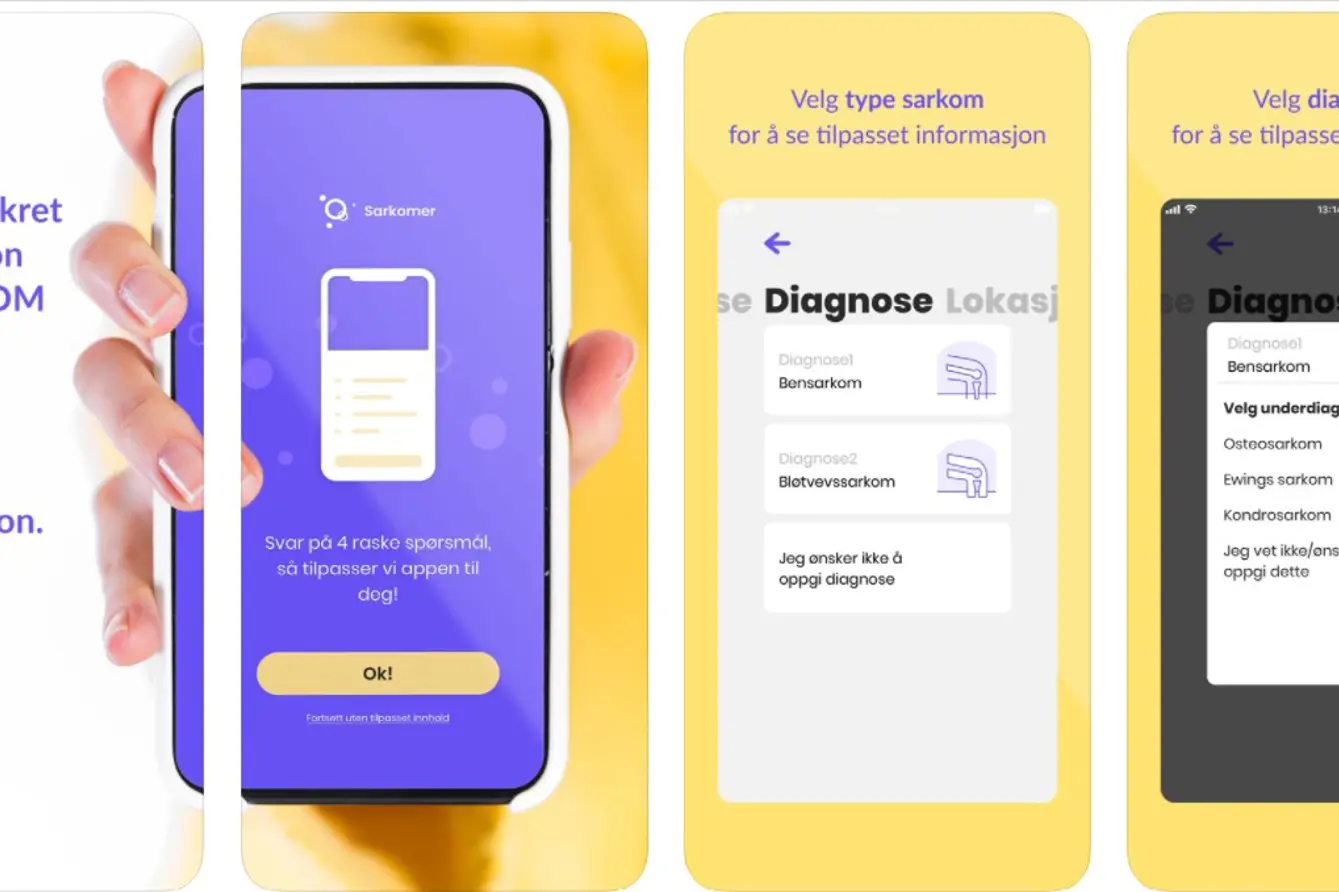 Skjermdump av AppStore med appen