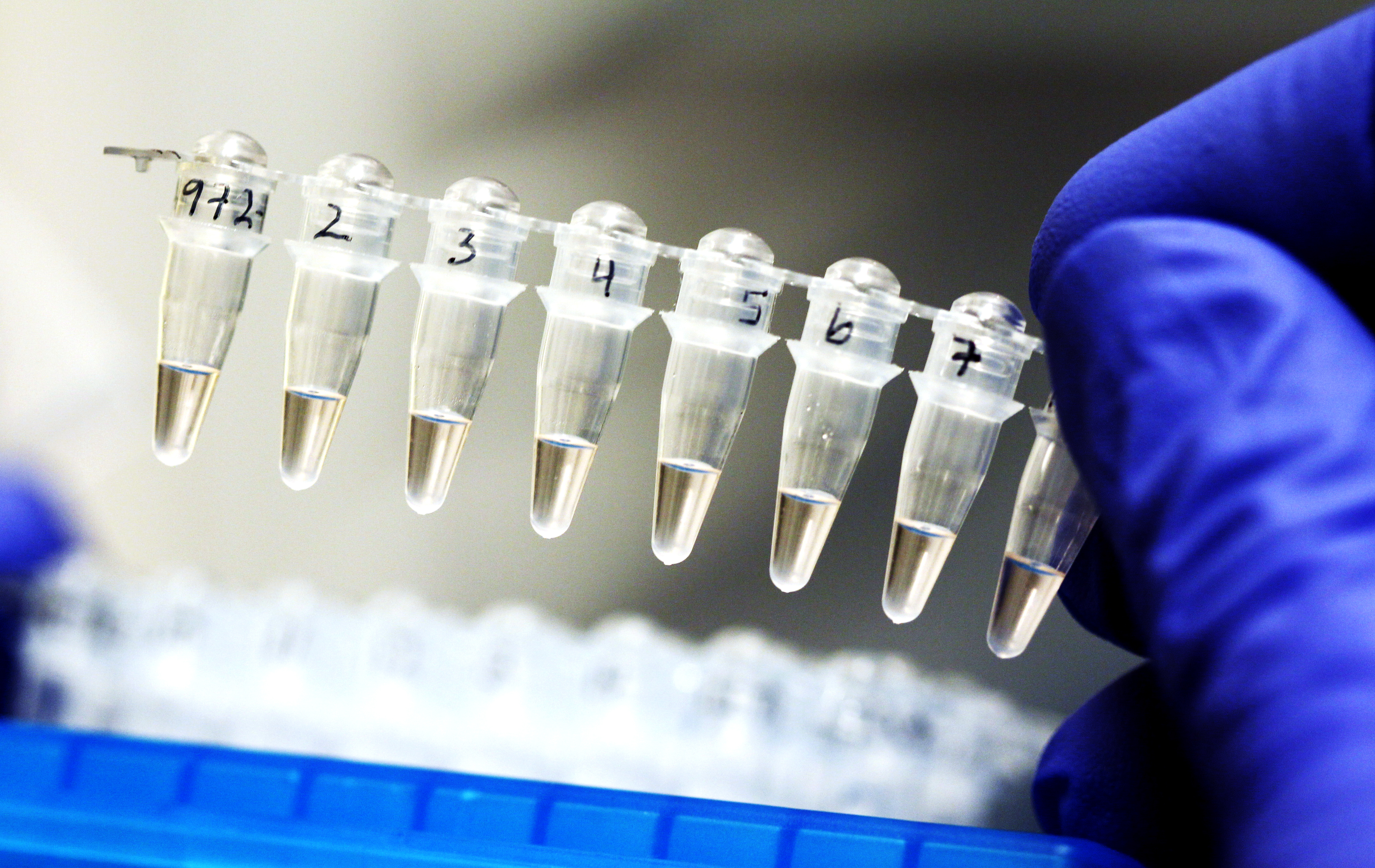 BIlde av en hånd med en rad med pipetter