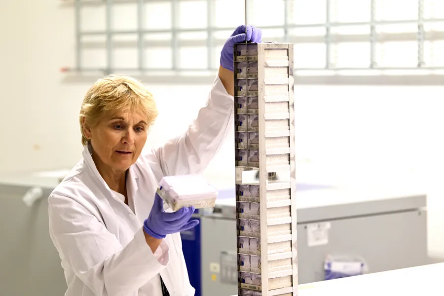 En dame i legefrakk som holler et stativ med laboratorieprøver. Hun inspiserer en av prøvene nøye.