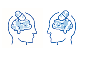 Mennesker hjerne.PNG