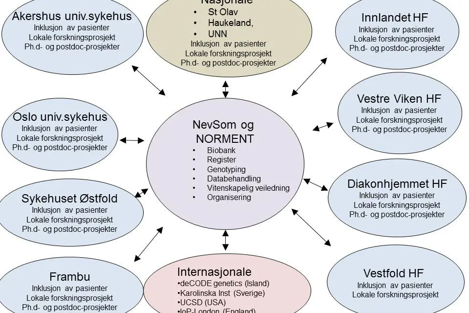 Organisasjonskart av Norment