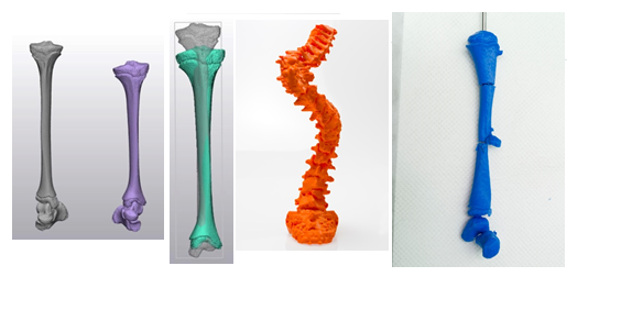 Bilde av 3D modeller