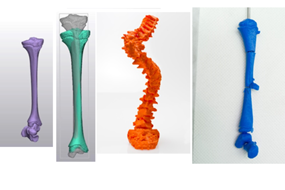 Bilde av 3D modeller