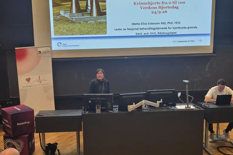 En person som holder en presentasjon
