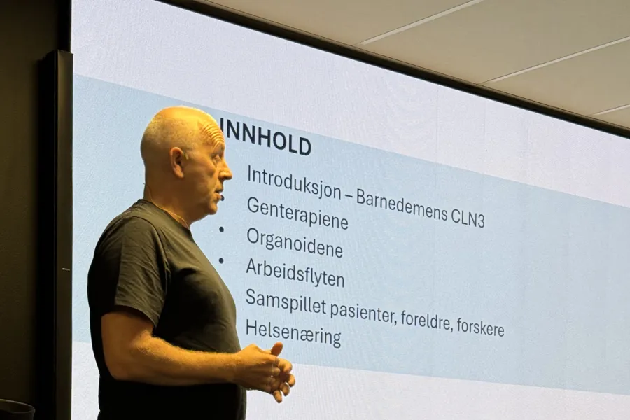 Tekstmelding, chat eller tekstmelding
