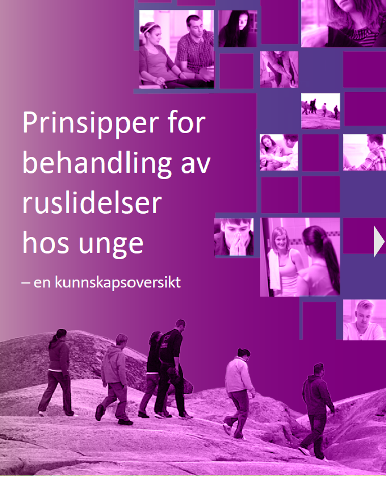 Bilde av heftets forside