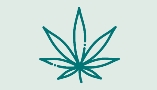 Illustrasjonsfoto av cannabisplante
