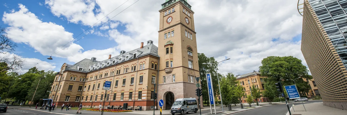 Tårnbygget med innkjøring