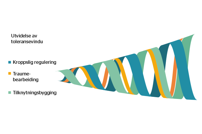 Illustrasjon av toleransevindu med de 3 grunnpilarene. Figur1: Behandlingen vektlegger 3 grunnpilarer: kroppslig regulering, traumeprosessering og tilknytningsbygging.
