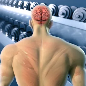 Back and brain of a physically strong person