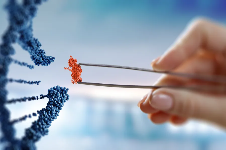 En person som holder et blad