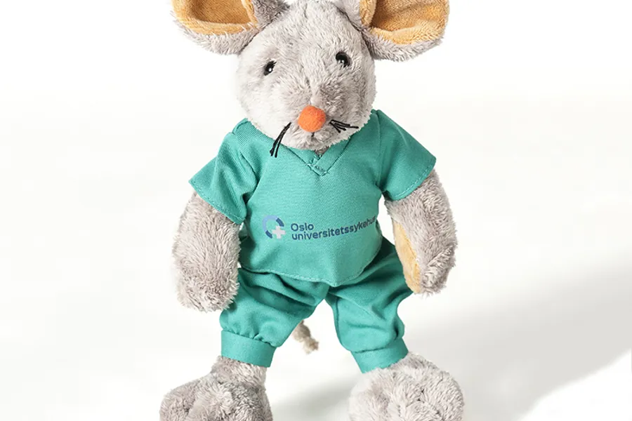 Et kosedyr iført blå skjorte og grønne bukser