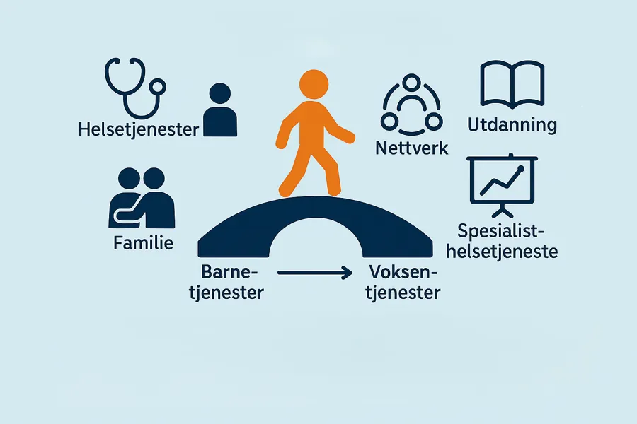 person går over en bru, mellom forskjellige helsetjenester