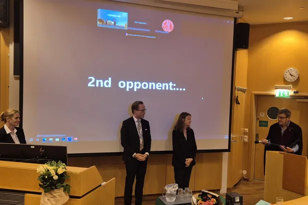 A person giving a presentation