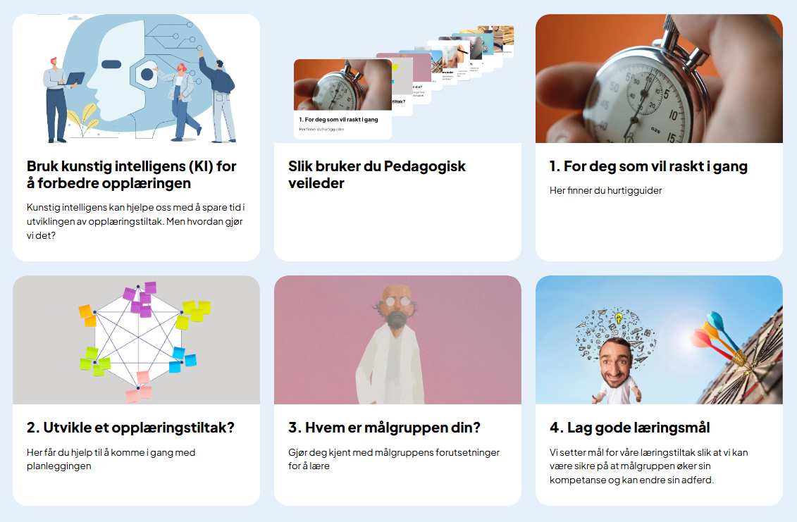 Et utsnitt av av noen av temaene som gjennomgås i pedagogisk veileder